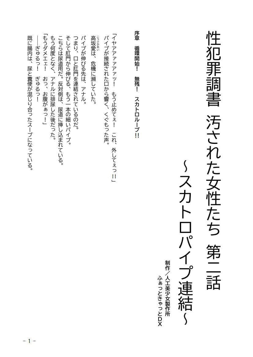 性犯罪調書 汚された女性たち 〜コンプリートセット〜 サンプル 3