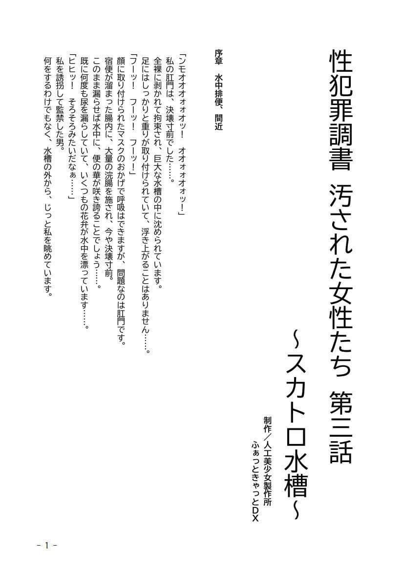 性犯罪調書 汚された女性たち 〜コンプリートセット〜 サンプル 5
