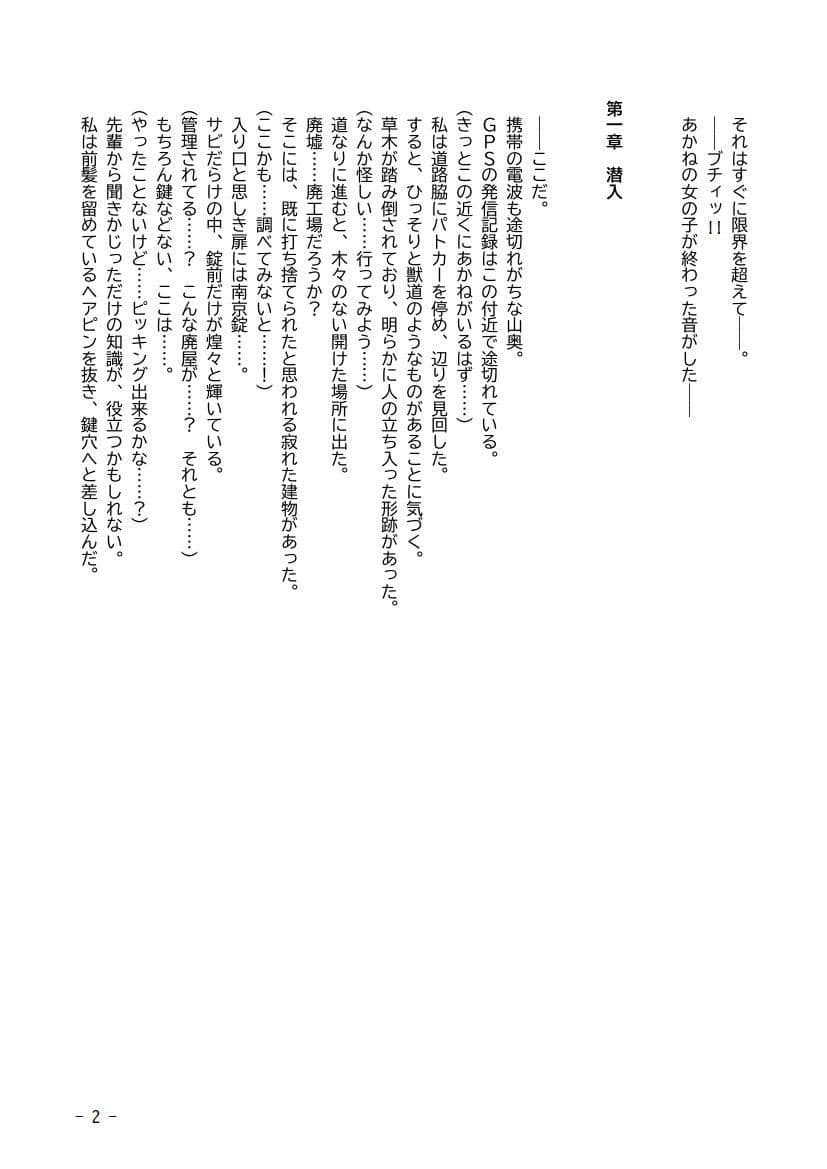 性犯罪調書 汚された女性たち 〜コンプリートセット〜 サンプル 10
