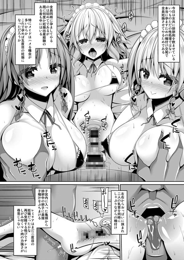 紅魔館メイドハーレム性活 サンプル 5