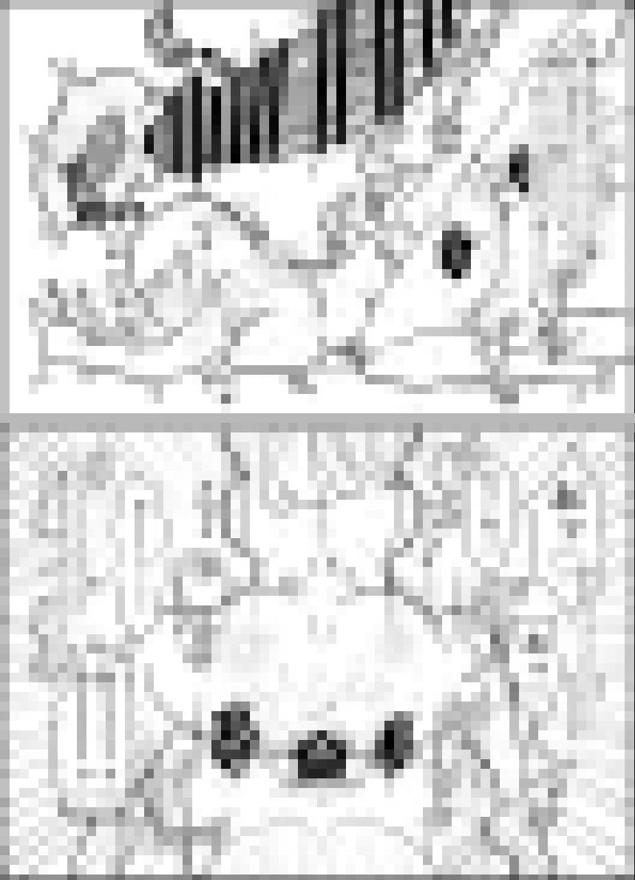 エッセイ風すけべ漫画集 サンプル 7