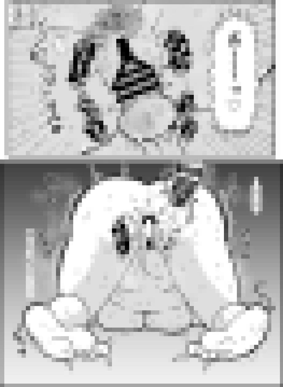 エッセイ風すけべ漫画集 サンプル 8