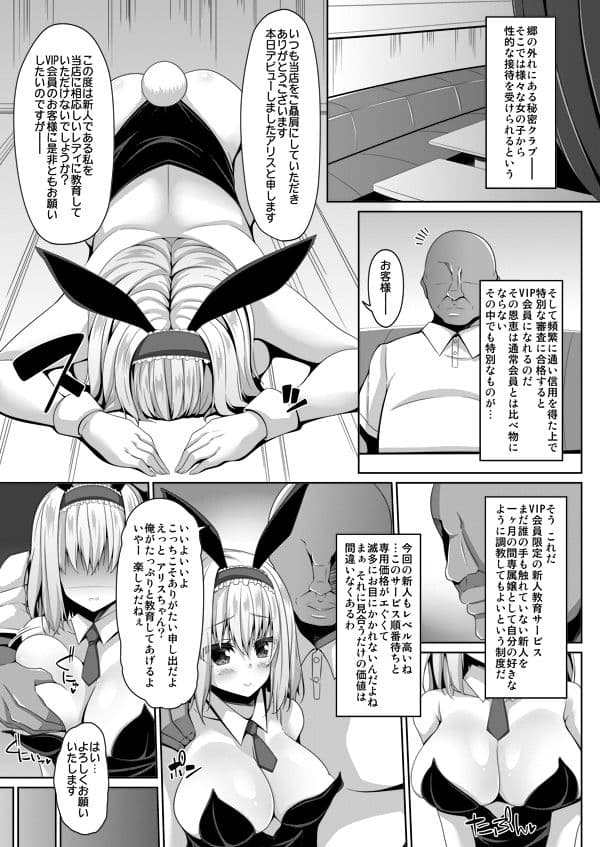 高級娼婦アリス接待教育 サンプル 1