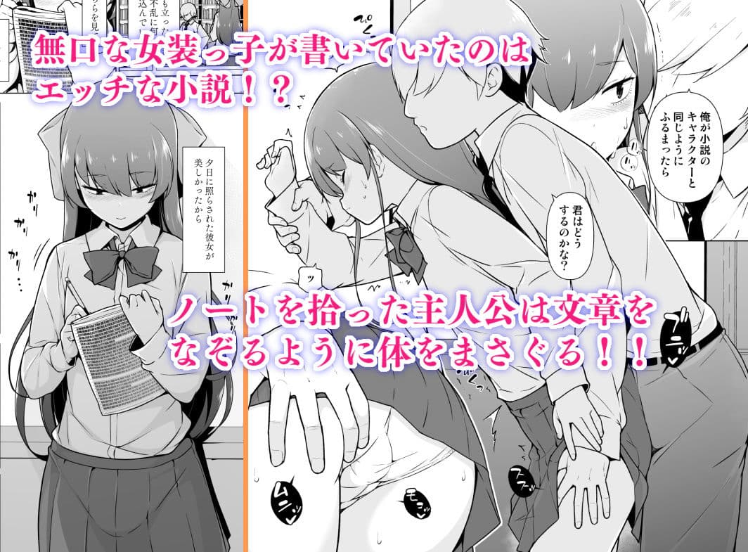 寡黙で無口な女装っ子 サンプル 1