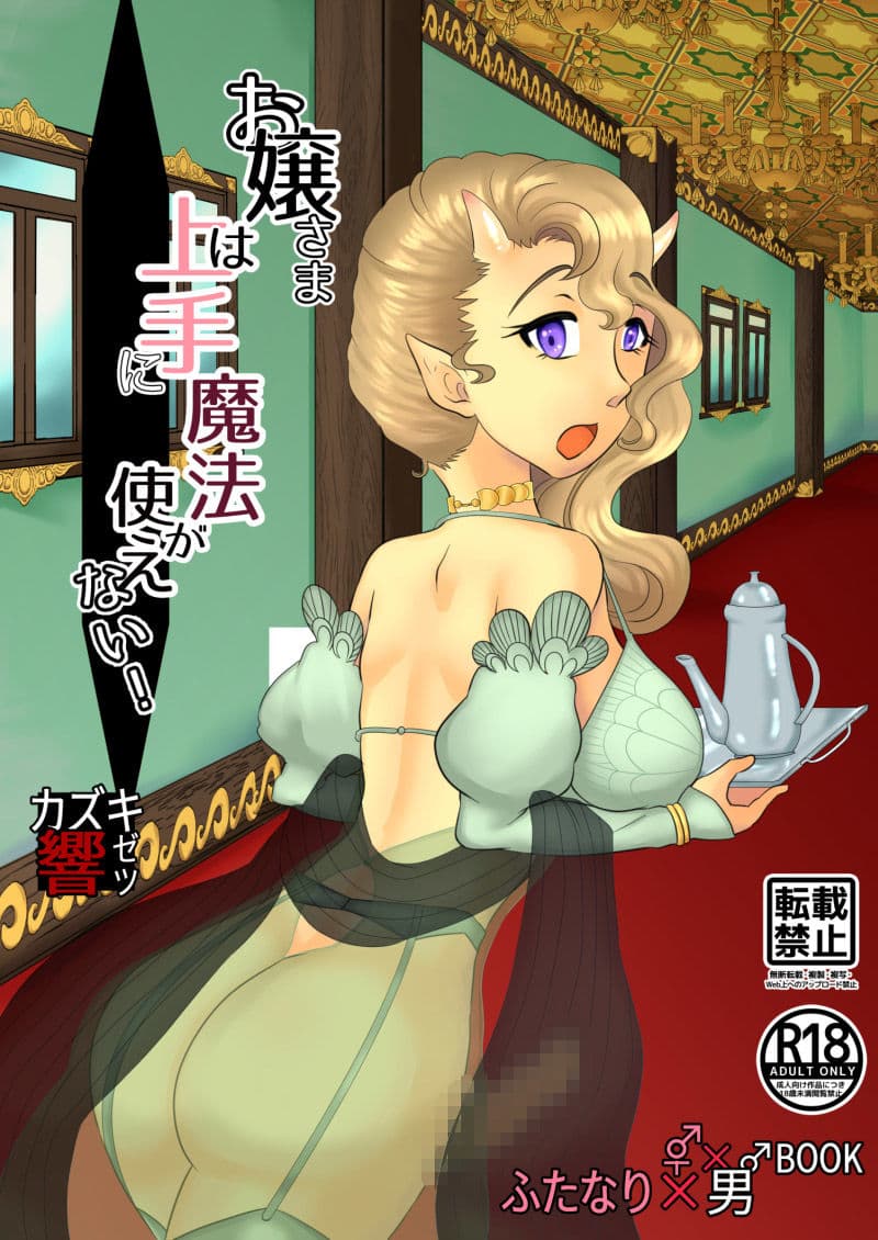 お嬢さまは上手に魔法が使えない！ サンプル 1