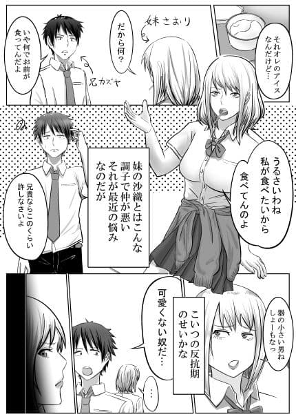 毎日妹でシコってたのバレてた件 サンプル 2