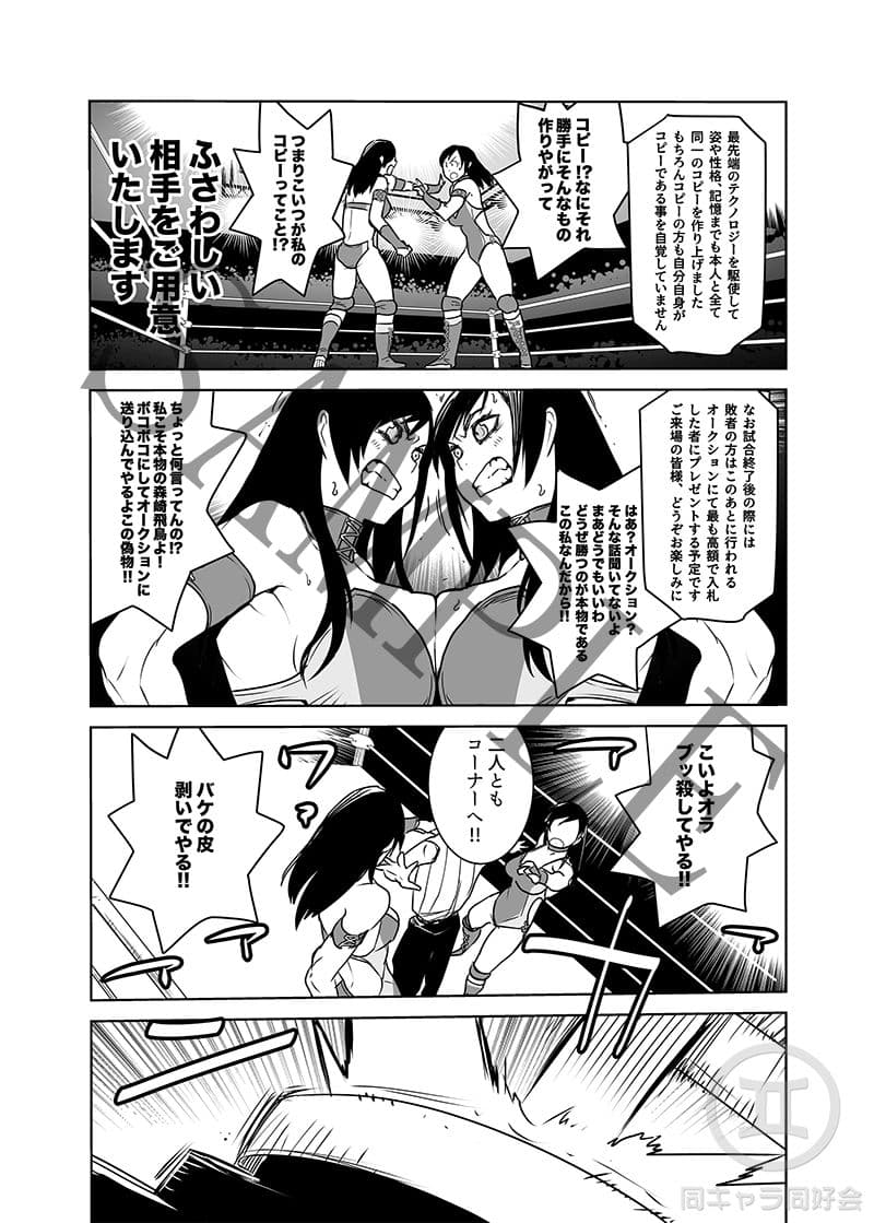 鏡闘 - Mirror Match サンプル 1