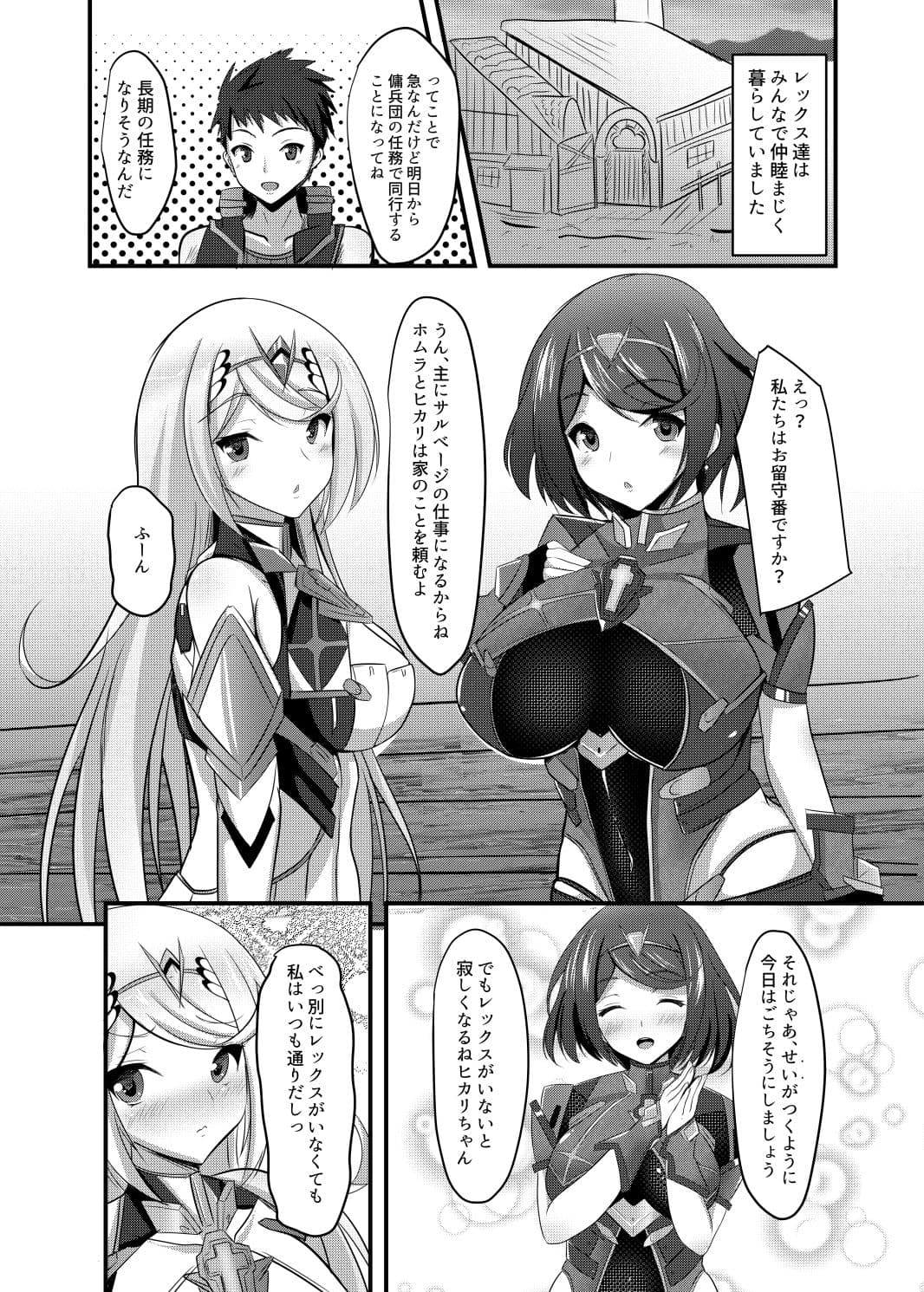 HOMUHIKAex サンプル 1