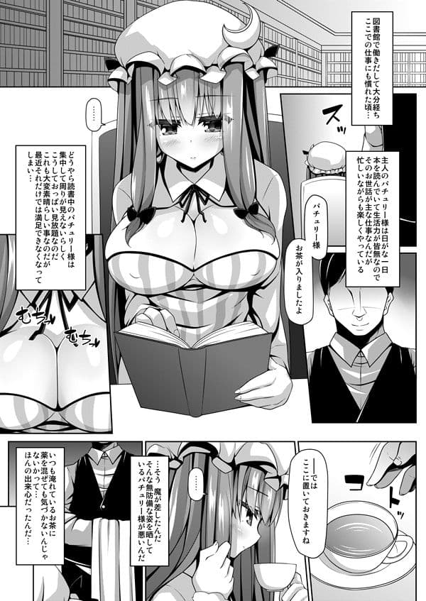 寝ているパチュリーには何をしてもよい サンプル 1