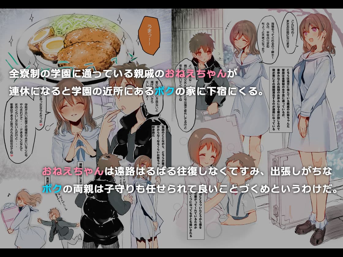 オスになった僕とメスになったおねえちゃん サンプル 1