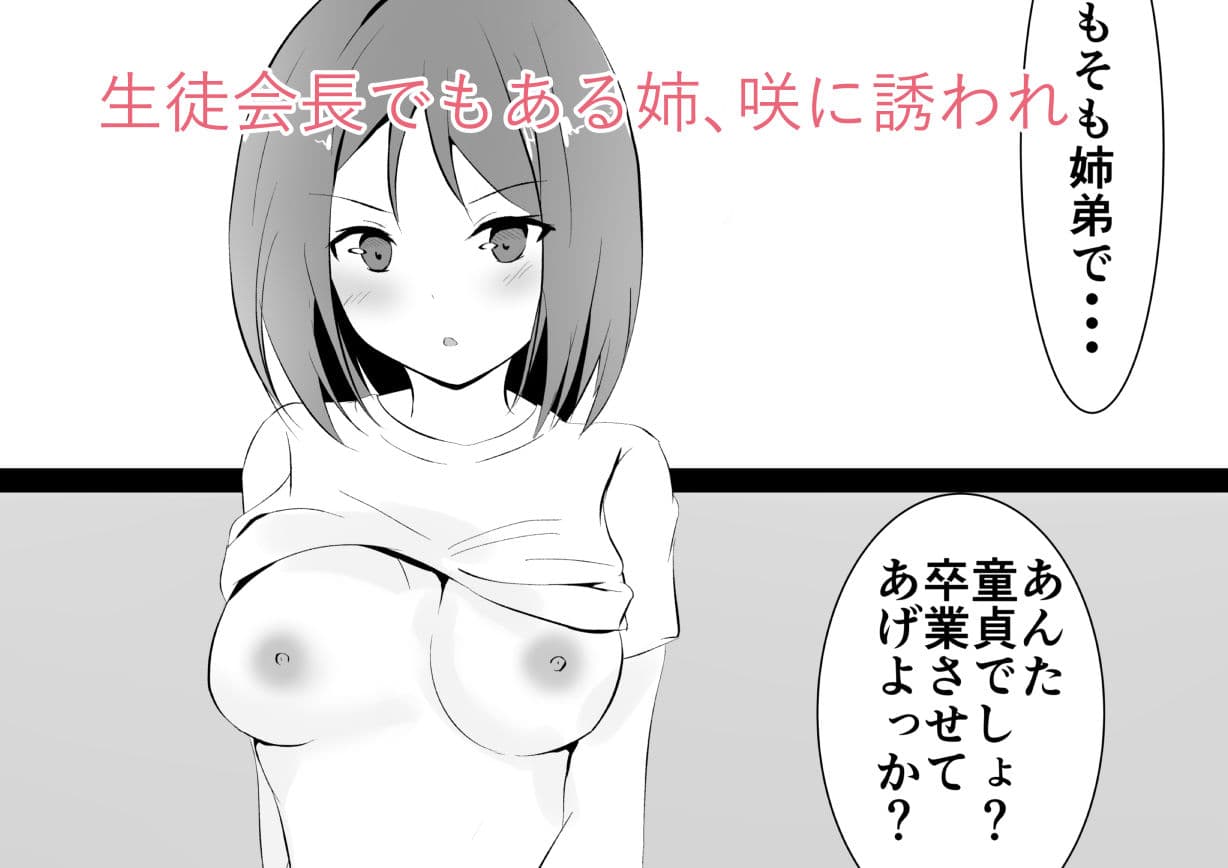 姉セフレ サンプル 1