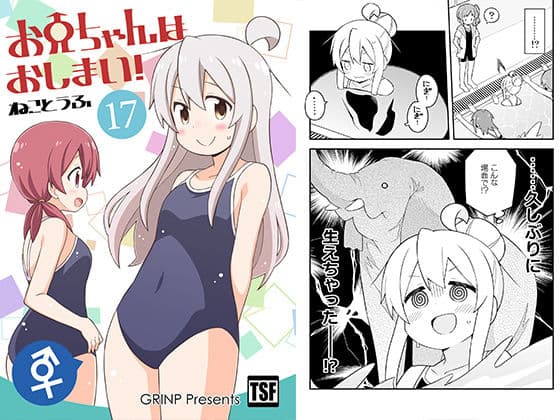 お兄ちゃんはおしまい！17