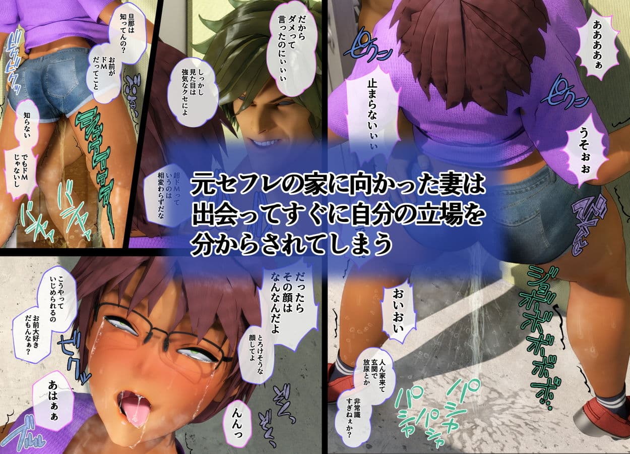 妻の元セフレ 寝取らせなのか？寝取られなのか？ サンプル 4