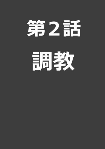 捕らわれの女騎士2 サンプル 4