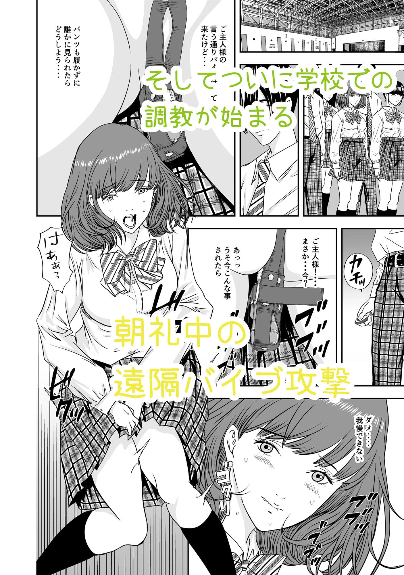 校衆便器 サンプル 8