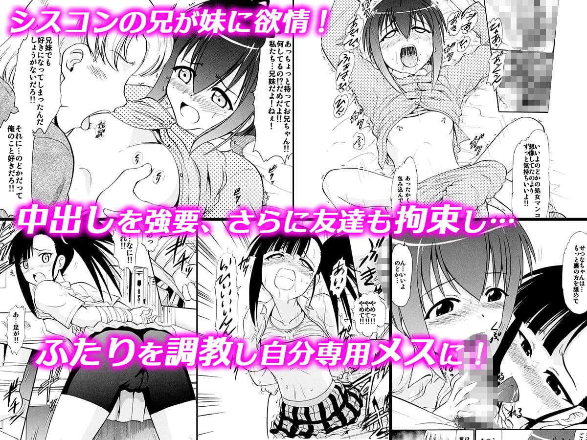 「時間停止」「妹と妹の友人」「おねショタ」の3作品セット サンプル 2