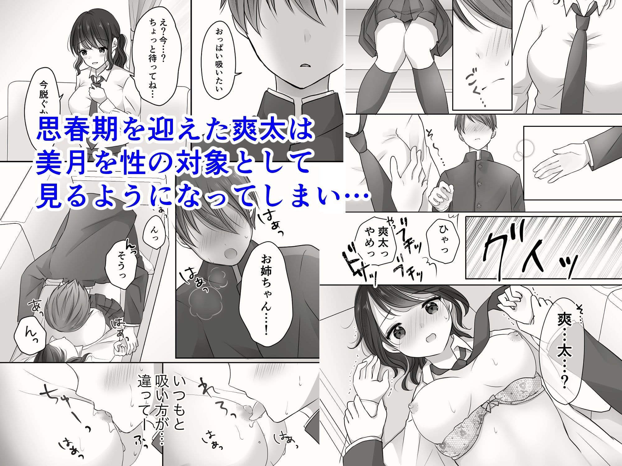 姉と弟のえっちなルーティーン サンプル 1