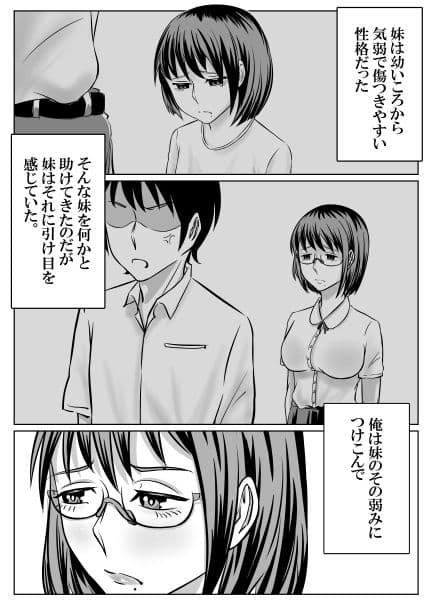私はお兄ちゃんのオカズ 兄妹間オナニー協定 サンプル 2