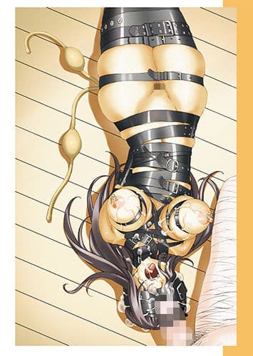 調教記録 サンプル 3