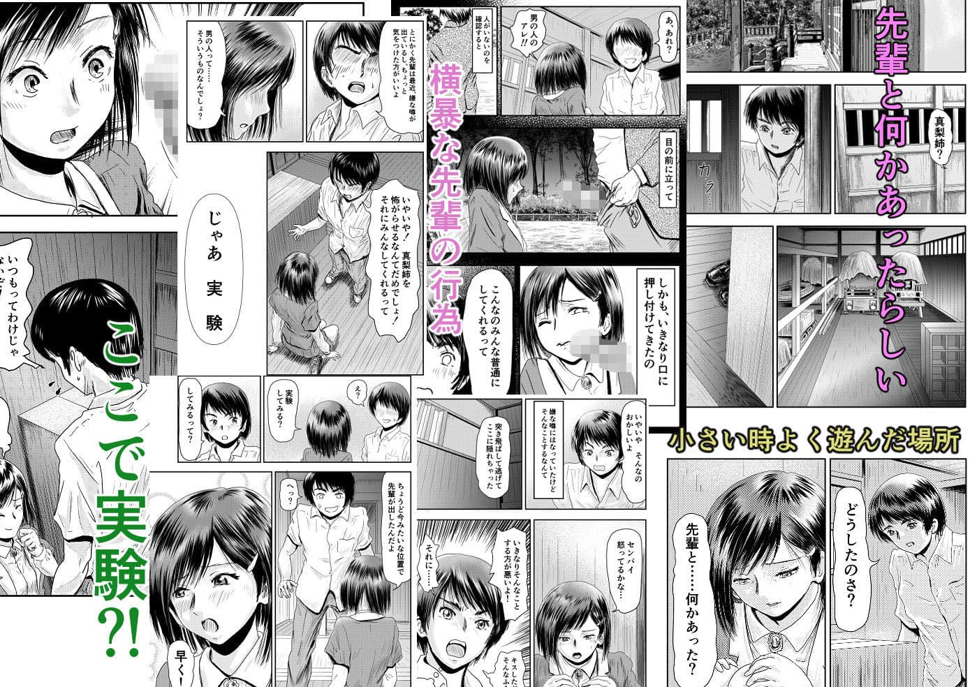 姉ちゃんの実験 サンプル 9