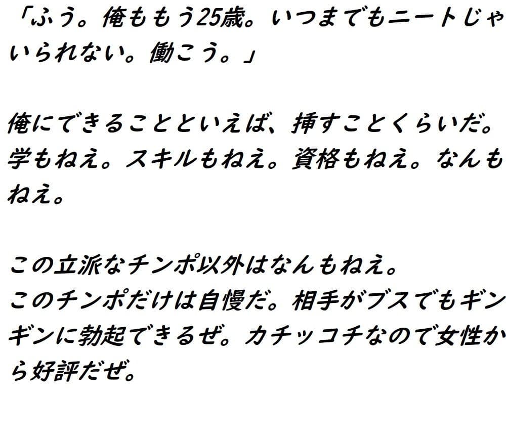 挿し屋 サンプル 1