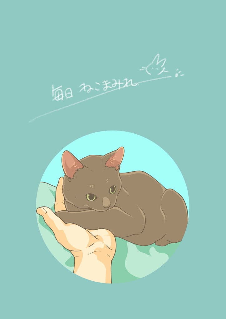 まいにちねこまみれ サンプル 1