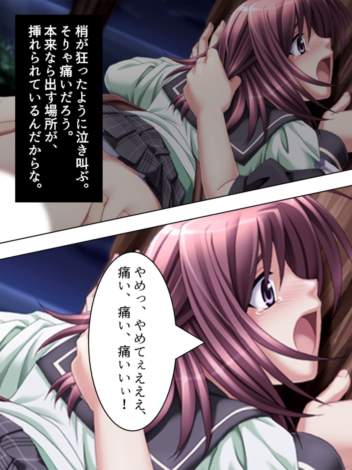 最愛の妹に捧げる弔いの●辱復讐劇 5巻 サンプル 8