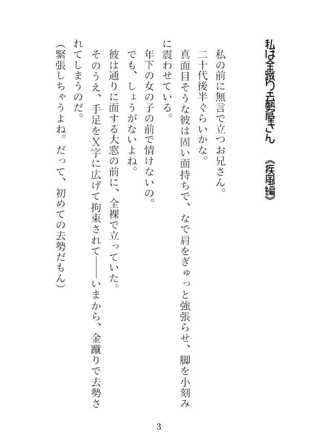 私は金蹴り去勢屋さん（疾風編＆風雲編） サンプル 2