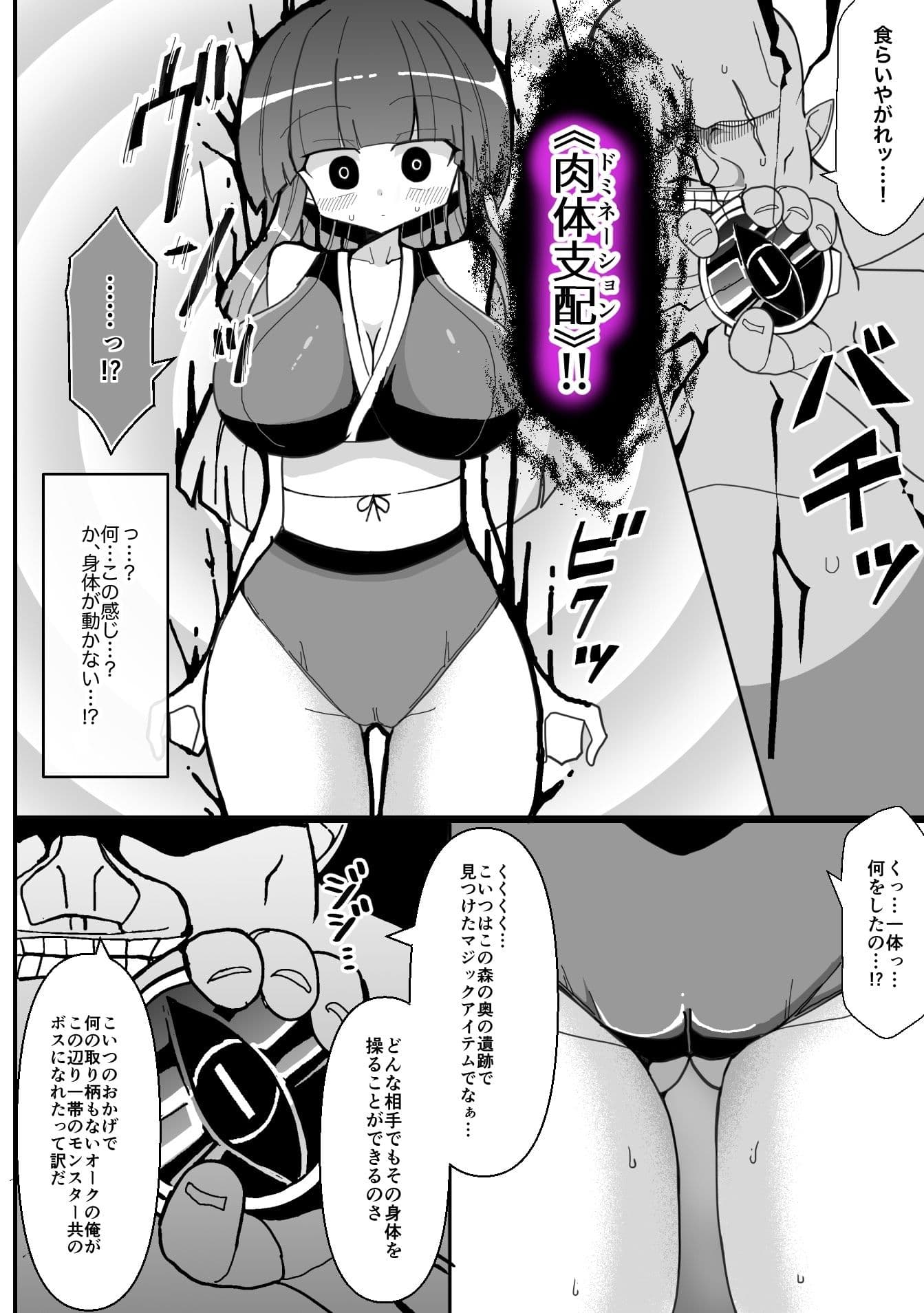 女剣士ユキナ 〜オークの魔法に堕ちるドスケベボディ〜 サンプル 2