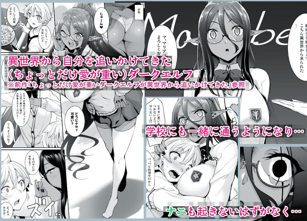 ちょっとだけ愛が重いダークエルフが異世界から追いかけてきた2 サンプル 1