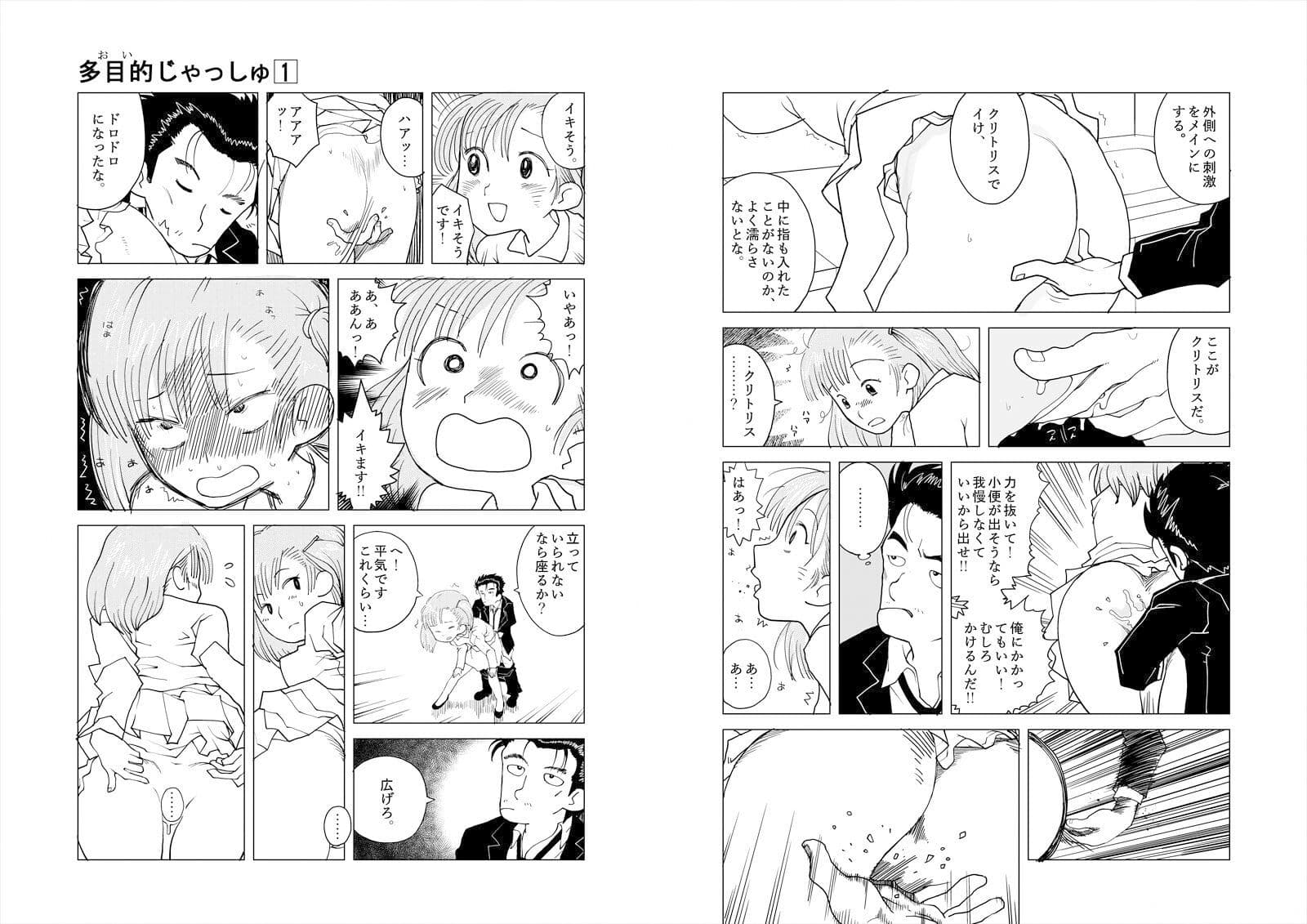 多目的トイレ サンプル 5