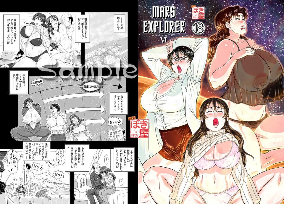 MARS EXPLORER 6 サンプル 1