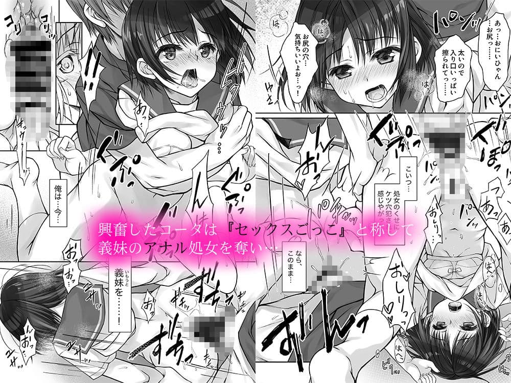 まだ恋も知らない義妹のアナルでの秘め事 サンプル 2