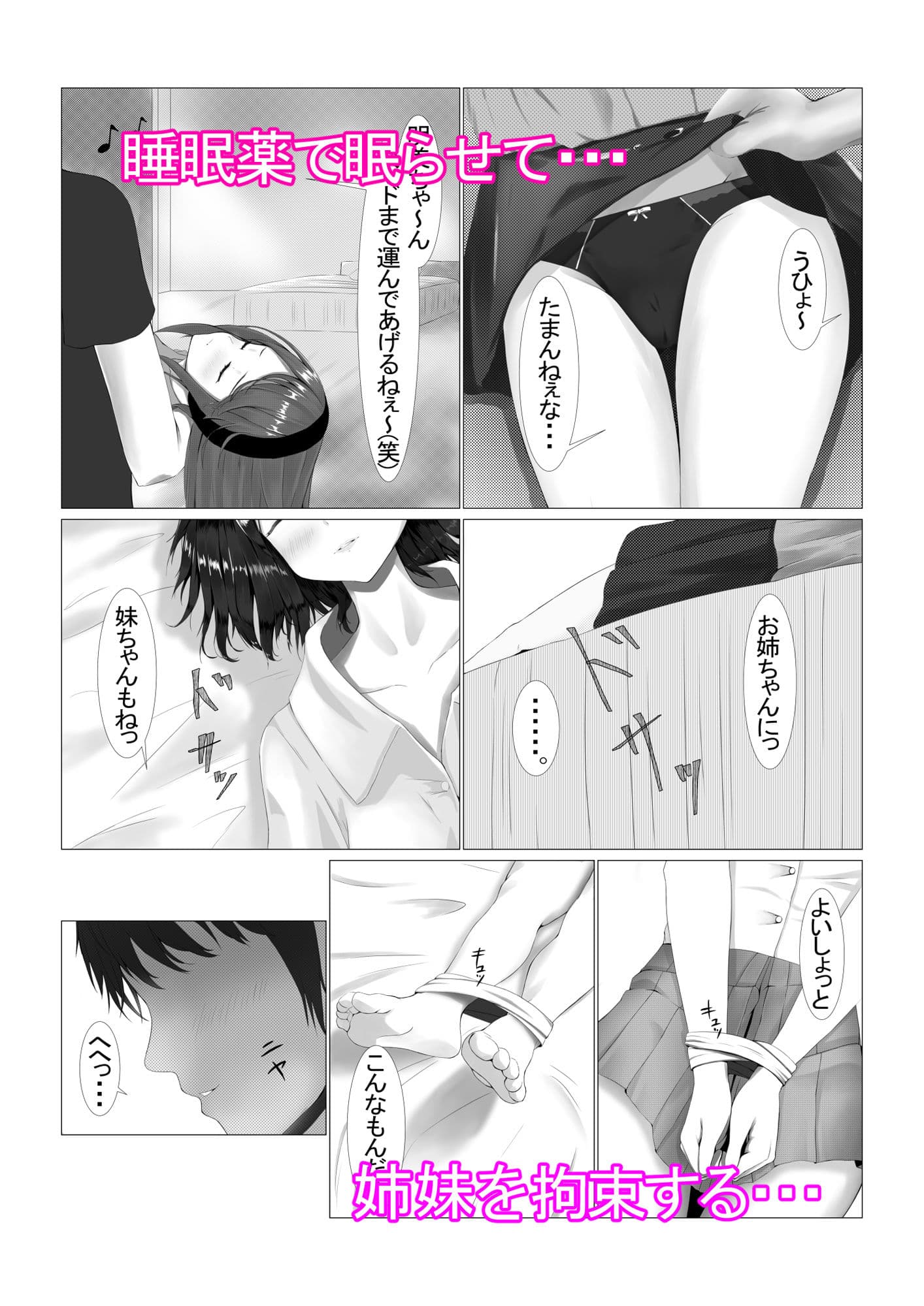 可愛い姉妹を睡眠レイ〇で寝取り計画 サンプル 2