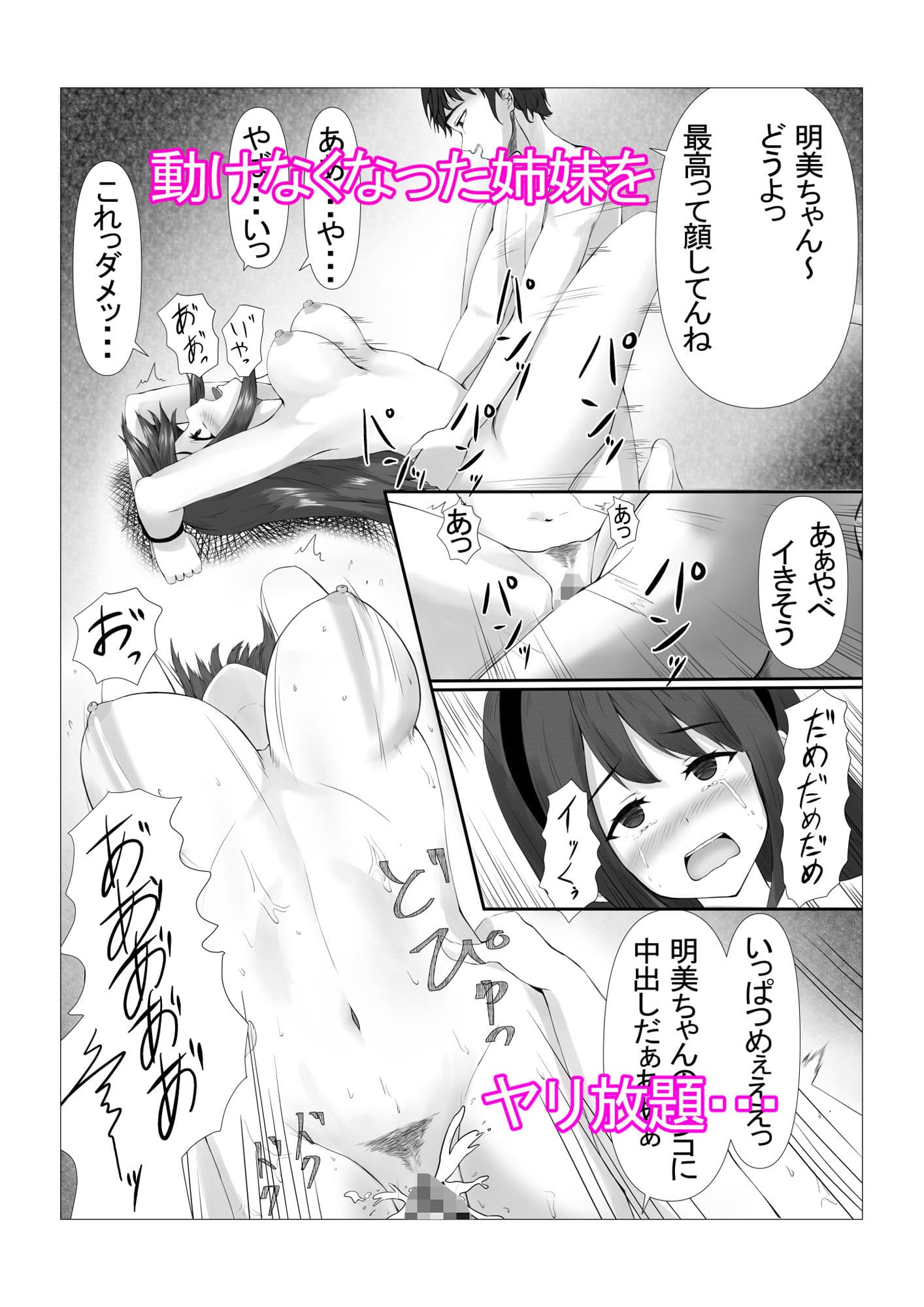 可愛い姉妹を睡眠レイ〇で寝取り計画 サンプル 3