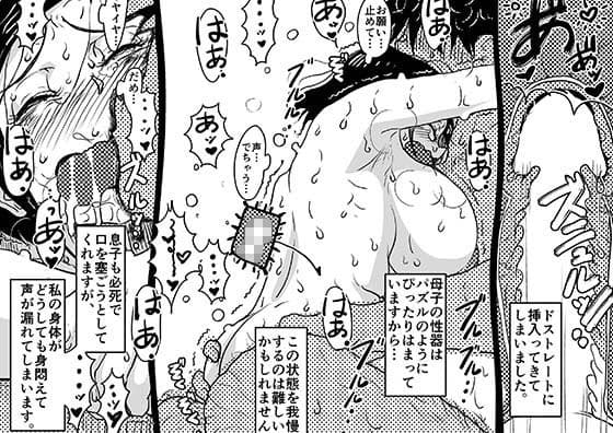 ヤリたい盛りの息子と多淫症のお母さんとの性生活の日常の話。 サンプル 9