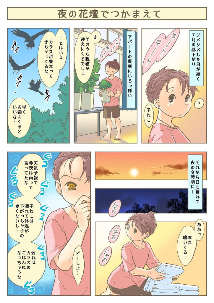 こねこをひろっただけなのに サンプル 1