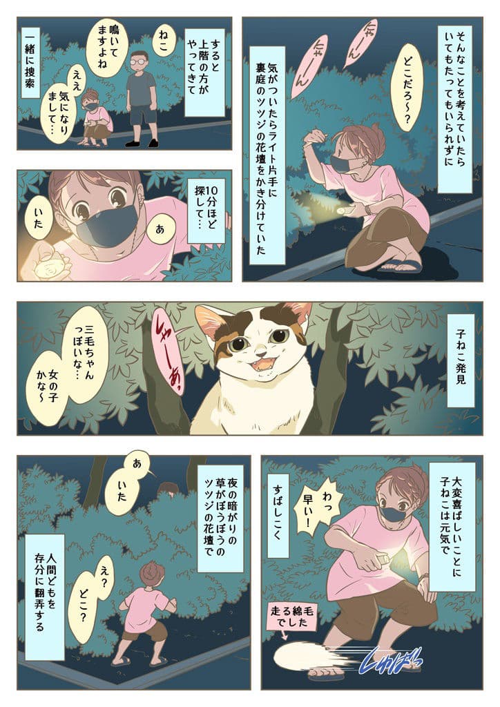 こねこをひろっただけなのに サンプル 2