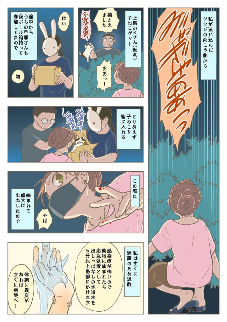 こねこをひろっただけなのに サンプル 4