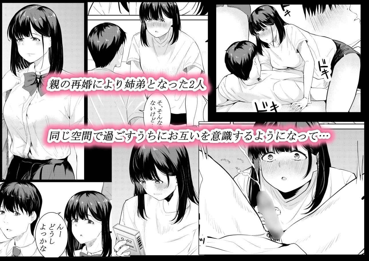 僕を好きと言ってくれた姉は他の男に抱かれる サンプル 2