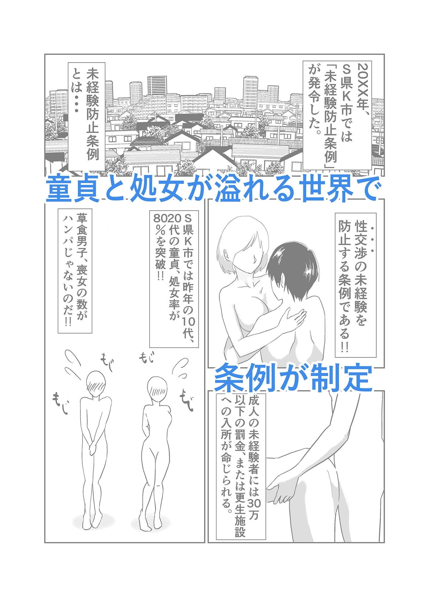もし、性体験の未経験を防止する条例が制定されたら サンプル 1
