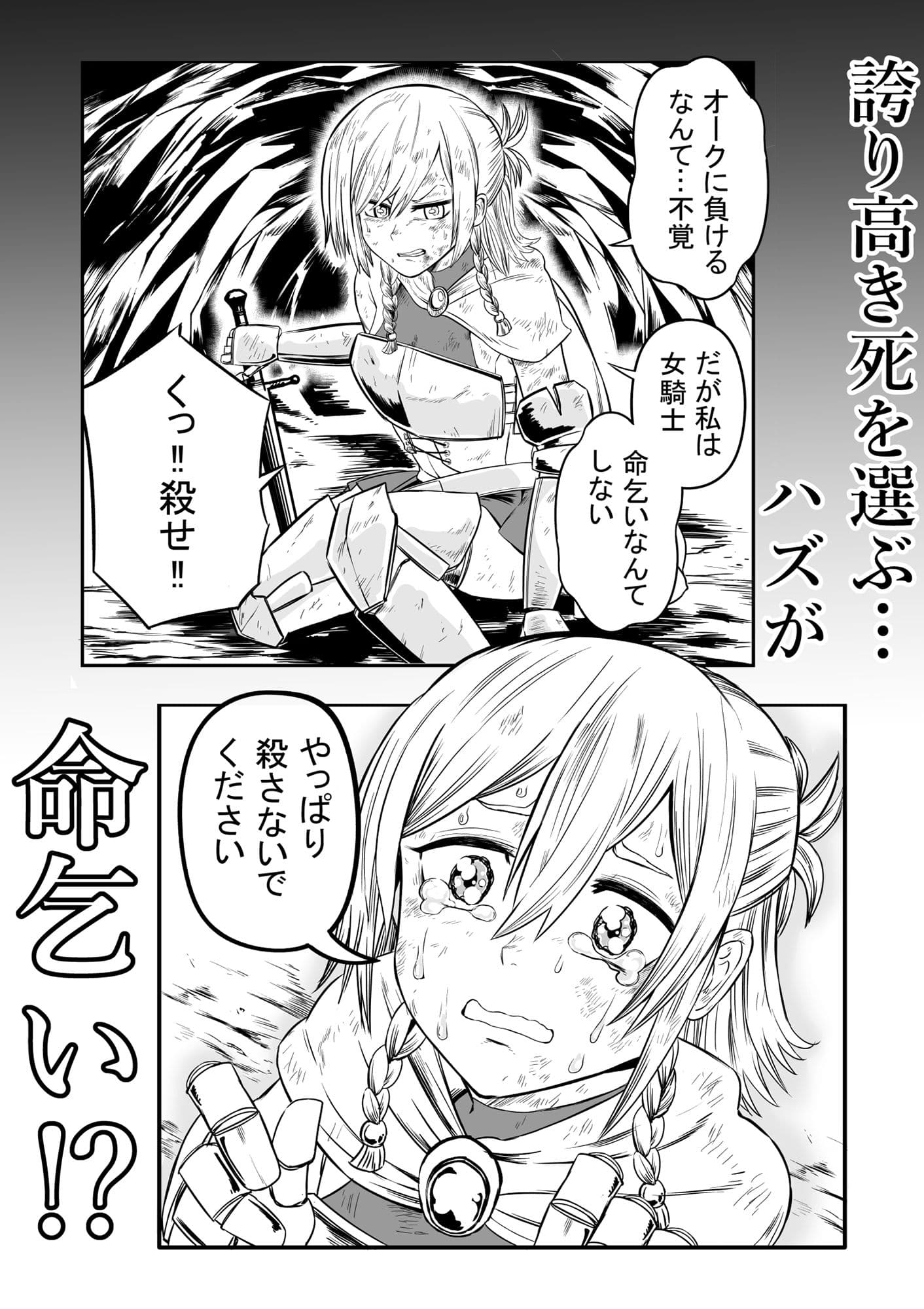 女騎士初めての命乞い生中出し サンプル 1