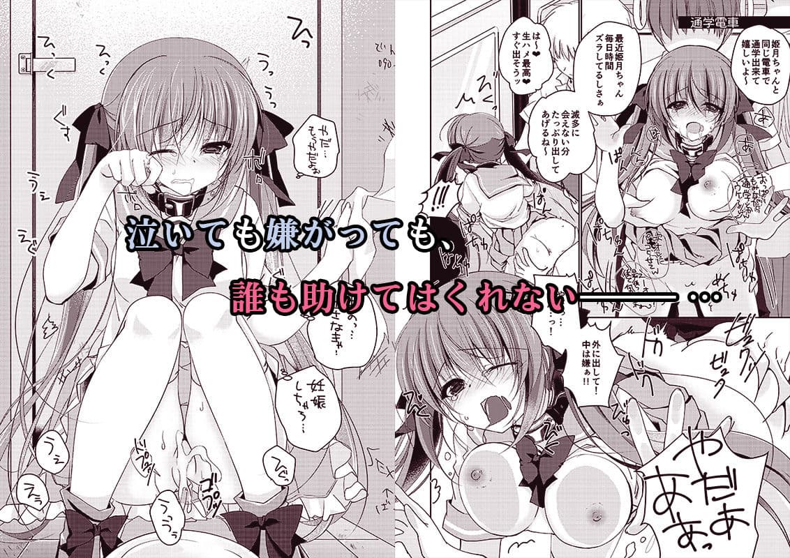 妹調教日記再録集【総集編】 サンプル 3