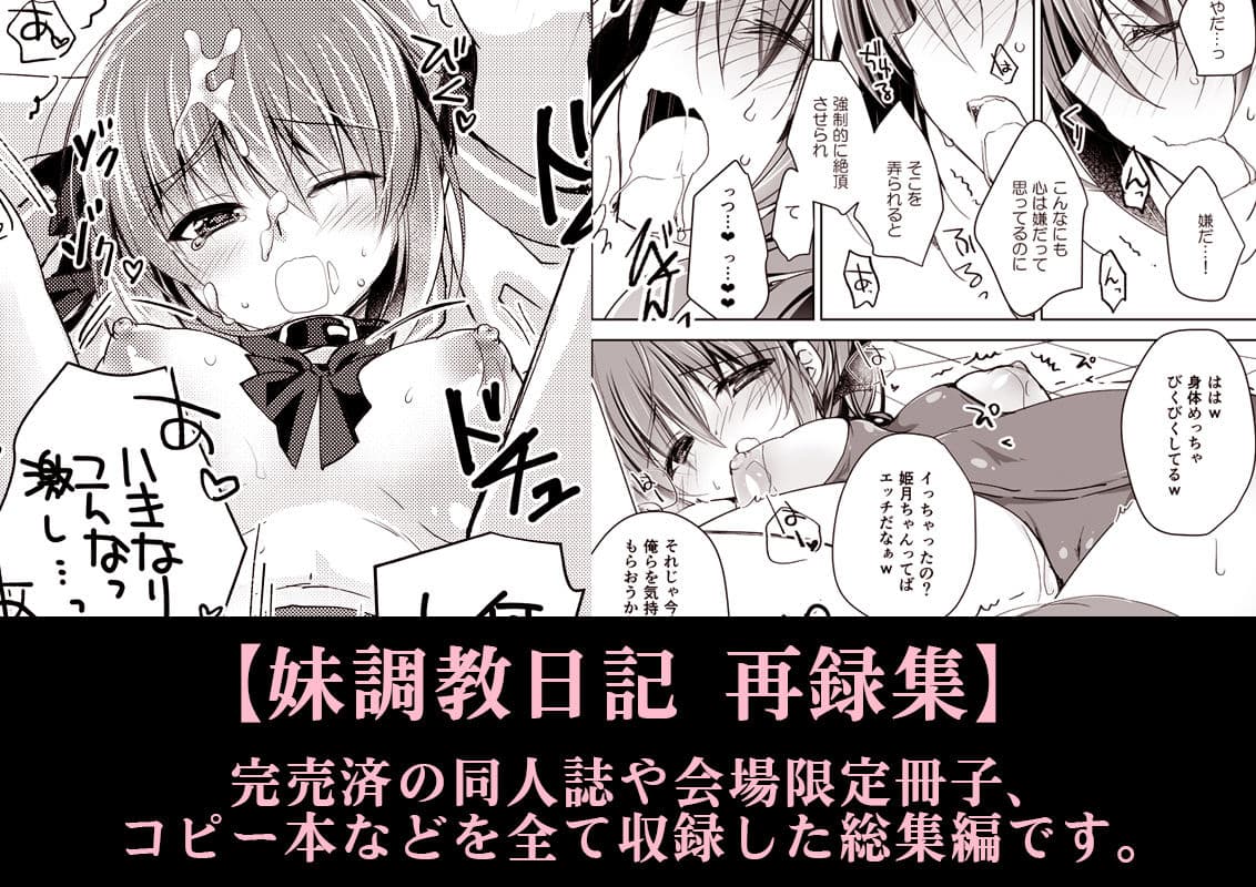 妹調教日記再録集【総集編】 サンプル 8