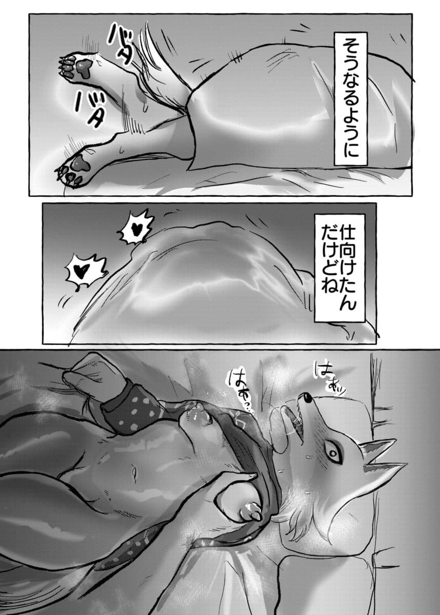 壮年男オオカミの雌シベに雌性自覚教育 サンプル 5