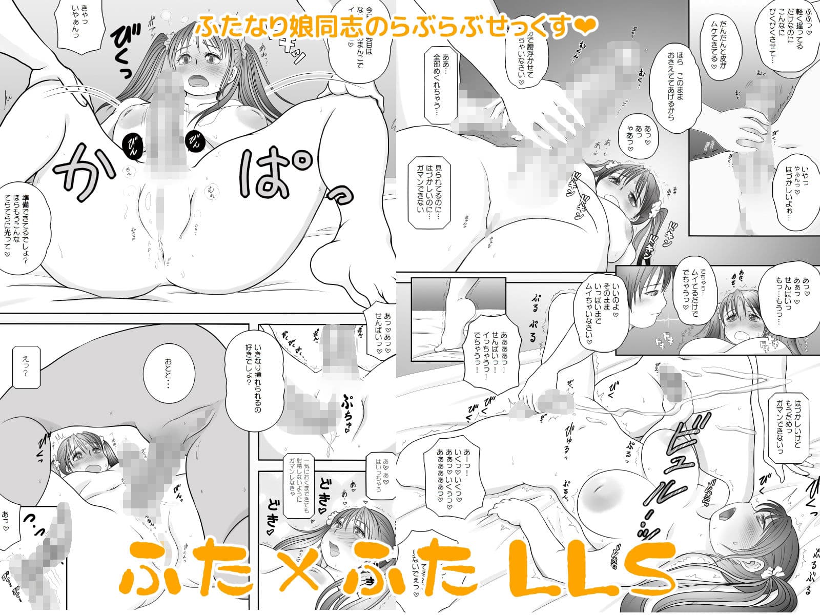 ふた×ふた総集編H サンプル 2