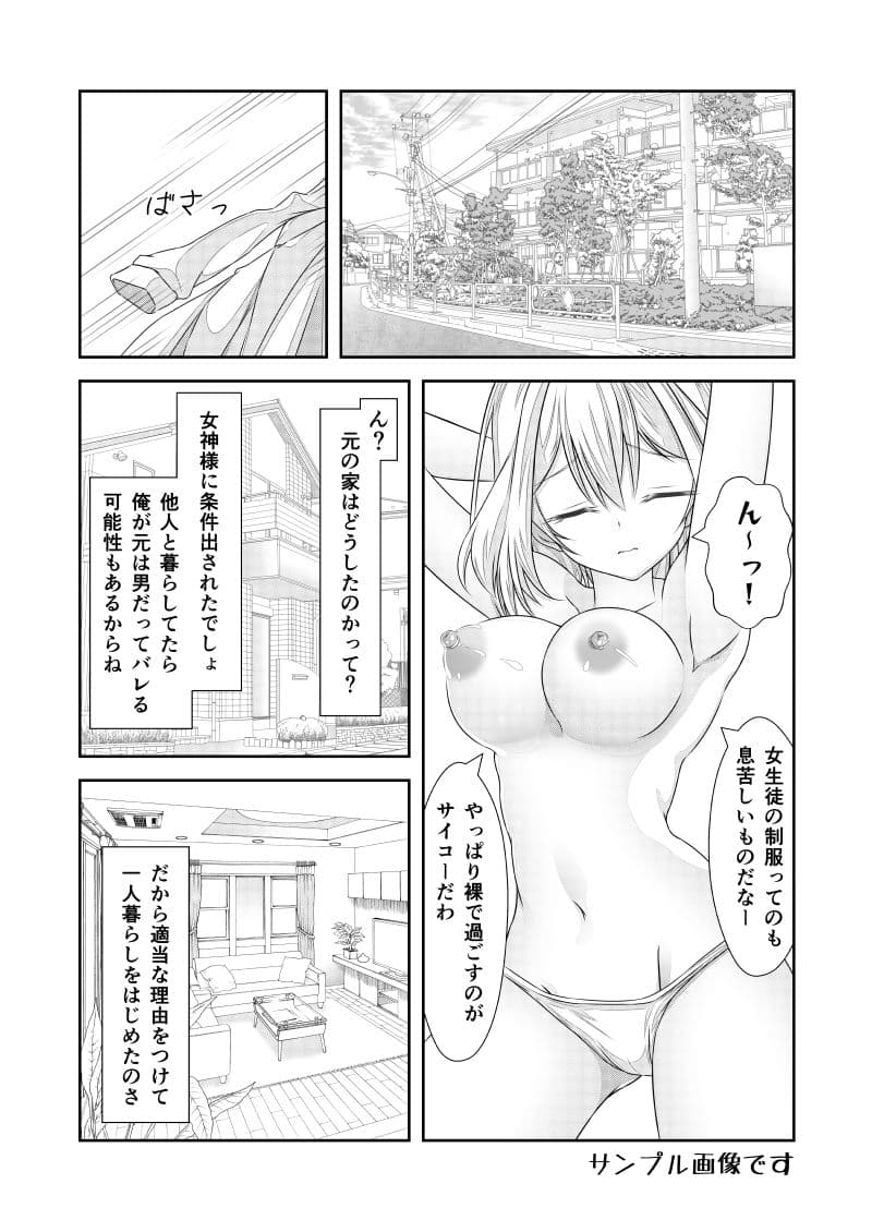 女体化チートが想像以上に万能すぎた その11 女体化聖女はネトゲで世界を創りたい サンプル 6