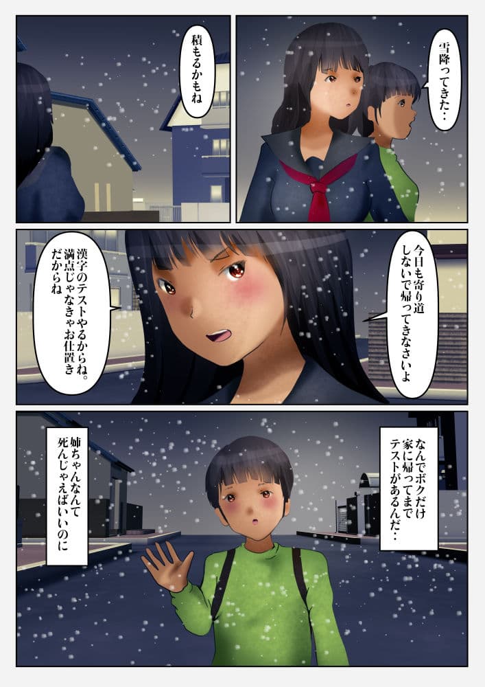 厳格な姉とケダモノ行為を交わした事 サンプル 3