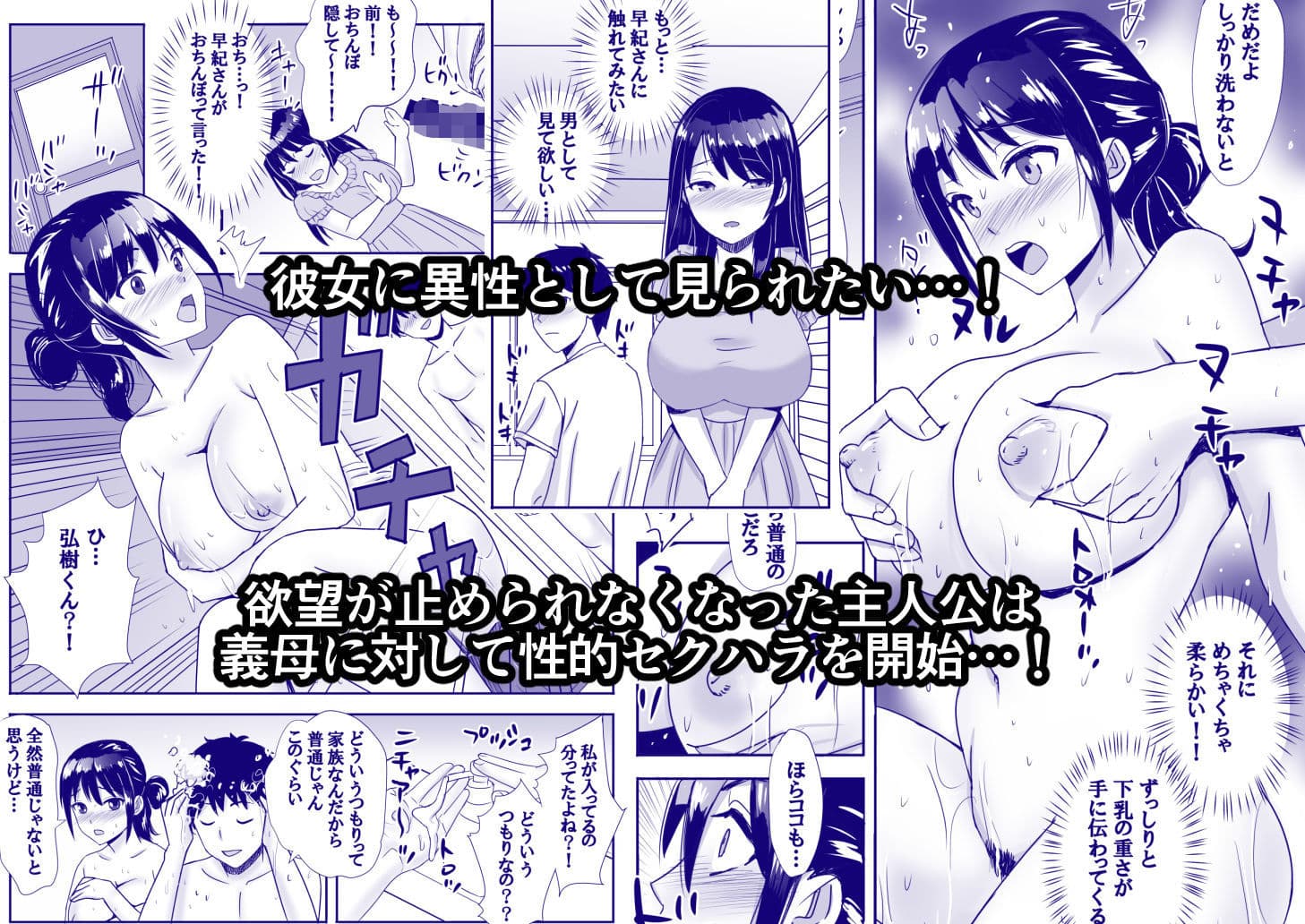 エクリプス近親相姦作品集 5作品＋未発表1作品収録！ サンプル 8