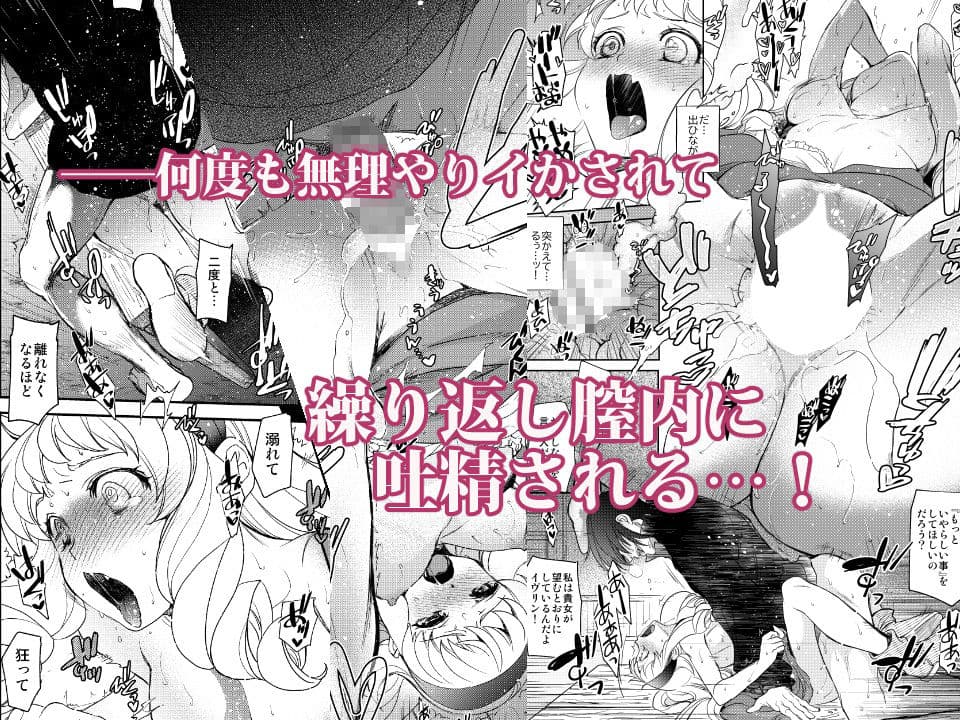 Saint Foire Festival/eve Evelyn5 サンプル 8